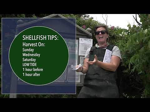 Learn to Shellfish | Episode 1, Getting Started