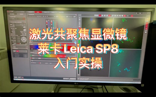 莱卡Leica SP8激光共聚焦显微镜入门实操