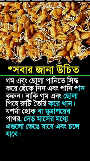 Everyone should know #motivation #shorts #facts