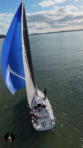 Blue Spinnaker Regatta ⛵ Puget Sound Sailing Action | DJI Avata