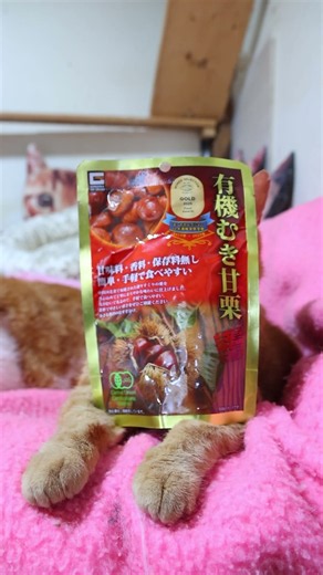 有機むき甘栗 261013 #cat #のせ猫 #cute #ねこ #猫のいる暮らし #有機むき甘栗