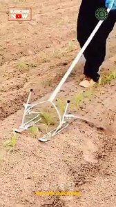 Introducing the amazing manual weeding tool, designed to revolutionize your gardening experience! This innovative tool combines ergonomic design with durable materials, making it exceptionally effective for tackling stubborn weeds without harming your plants. With its sharp and precise blade, you can easily penetrate the soil and remove weeds from their roots, ensuring they don't regrow. Ideal for both professional gardeners and home gardening enthusiasts, this weeding tool is lightweight yet ro