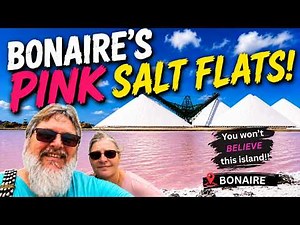 Is Bonaire one of the Caribbean's Best-Kept Secret?