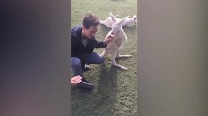 88K views · 708 reactions | Get ready to see some stunning creatures. | Animal Tales | Facebook