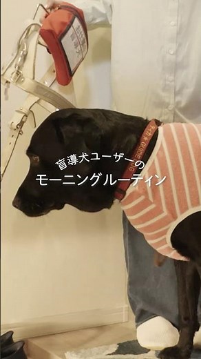 ＼Guide Dog User's Morning Routine☀️🦮／