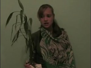 Elena Cohen - MySpace Movie