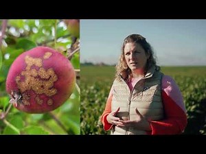 BIOCONTROL 4.0: innovative solutions for sustainable agriculture