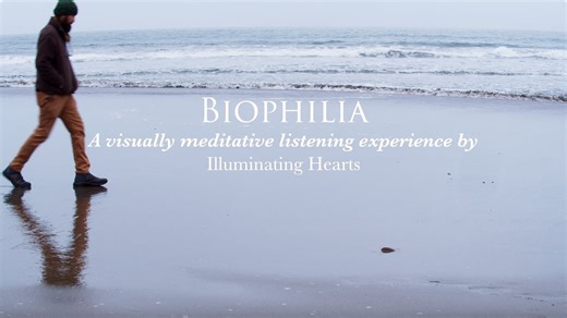 Biophilia: The Love of Nature