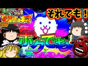 【にゃんこ大戦争 多様性のネコ】ベルセルクで鍛えられるとこうなります（後編）