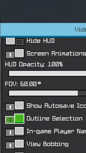 How to make the outline on blocks In Minecraft