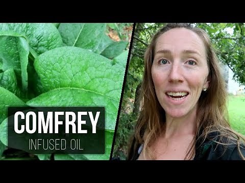 Comfrey Infused Oil