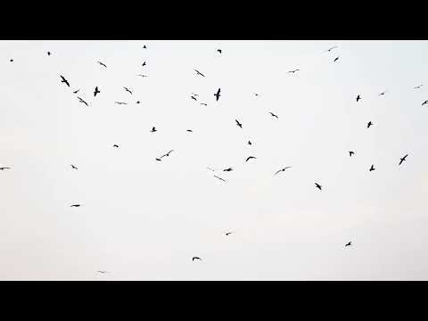 Build Credit While Paying Off Debt: Proven Strategies Explained