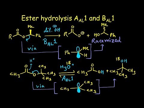 Ester Hydrolysis L-04 | Acid Catalyzed and Base promoted Ester Hydrolysis | Aal1 and Bal1 Mechanisms