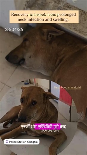 Montu Story 💔 ( Part 1)