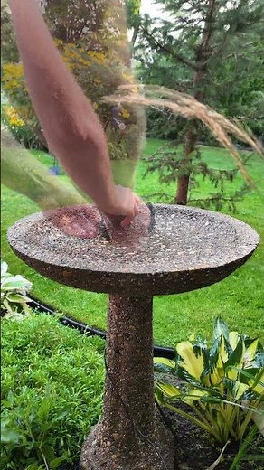How to Clean a Concrete Bird Bath (Without Sterilizing It!)
