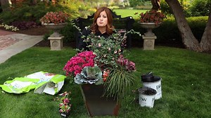 46K views · 2.8K reactions | Here's another idea for a beautiful cool tolerant container in a different color palette! Two of our plants, Dolce Wildberry Heuchera, and Proud Berry Coral Berry help create the rich tones of pinks and mauves in this container. Enjoy! Dolce Wildberry Heuchera-- pwwin.rs/3ccDyhN Proud Berry Coral Berry-- pwwin.rs/35MAWWY | Proven Winners | Facebook