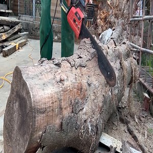 How To Create A Unique And Unrepeatable Turntable From A Perennial Tree Stump | Free Footsteps