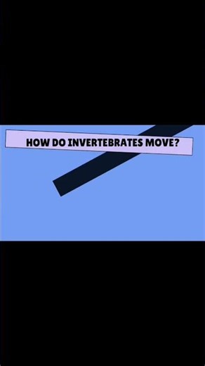 🐛 Invertebrates Explained – Animals without Backbone! | Part 3 #invertebrate #boneless