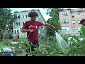Benefits of a Community Garden
