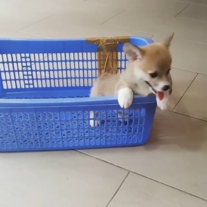 Short people problems ⬇️️😂 | LADbible