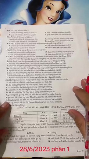 Exam Techniques: Analyzing Vietnamese Text Effectively