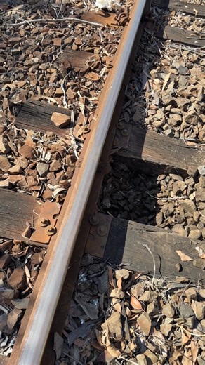 Old faithful Pelican pick #taylorrail #rail #railmaintenance #construction #railroadconstruction #trains #railfan #gunzel #railways #railroad #trackmachine #locomotive #railroad #maintenanceofway #ppe #trackwork #trackwork #trains #australia #hivis #milwaukee #milwaukeetools | Taylor Rail Australia