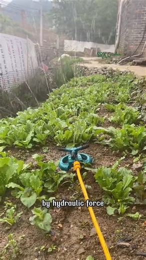 Just connect it to your water pipe — you can water your garden effortlessly without spending a single penny | Terra Nursery