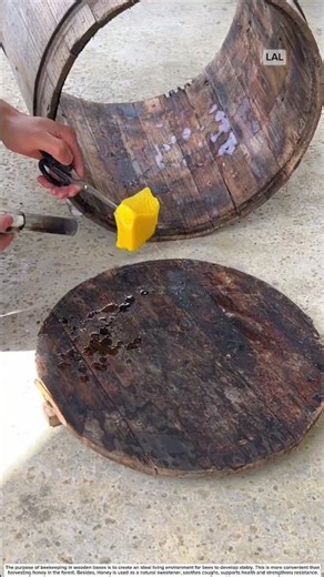 Beekeeping in wooden boxes