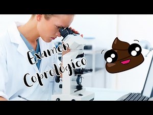 Examen Coprológico