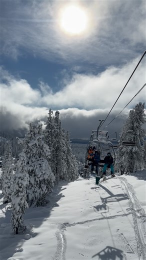 Powder Powder Powder | Mt. Shasta Ski Park
