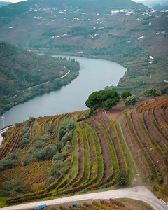 🍂 O outono em Mesão Frio é um verdadeiro espetáculo de cores! As vinhas vestem-se de tons quentes, criando uma paleta deslumbrante que transforma a paisagem numa obra de arte. Venha sentir o encanto desta estação e perder-se nas paisagens que só o Douro pode oferecer! #ilovedouro #nature #visitportugal #visitdouro #dourolovers #portadodouro #mesãofrio #discoverdouro #cimdouro #portugallovers🇵🇹❤️ | Município de Mesão Frio