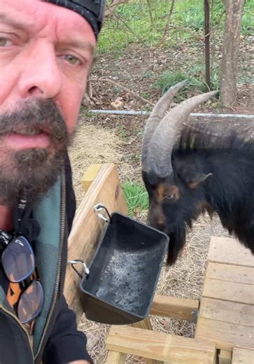 Feral Frank's Hilarious Destruction