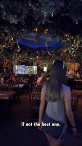 2.7K views · 75 reactions | POV: You've just added visiting our Disney Springs location to your bucket list!  | Rainforest Cafe | Facebook