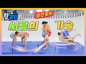 눈 깜짝할 사이에 끝나버리는 씨름! 360도 카메라로 씨름의 기술을 살펴봅시다 / YTN 사이언스