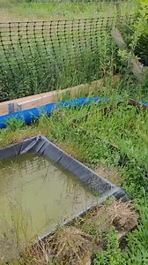 20K views · 144 reactions | They love it down the open enclosure! #ferrets #pestcontrolservice #pestcontrol #pestmanagement #rodentcontrol #ferretfun #ferretsofinstagram | TTOCS Pest Control Ltd | Facebook