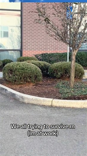 Like watching a documentary ✨️ babyusaworld ‪@Babyusaworld‬ #fypage #fyp #tiktok