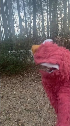 elmo world elmo wants to learn all about circus and interview