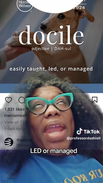 #wordoftheday #vocabulary #grammar #Englishclass #ProfessorDashiell #lifelonglearners #docile #englishteachers #englishprofessors #buildvocabulary #collegestudents #dictionary #dictionarymagic #ProfessorStephanieMichelle