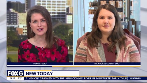 Milwaukee County Zoo gift shop