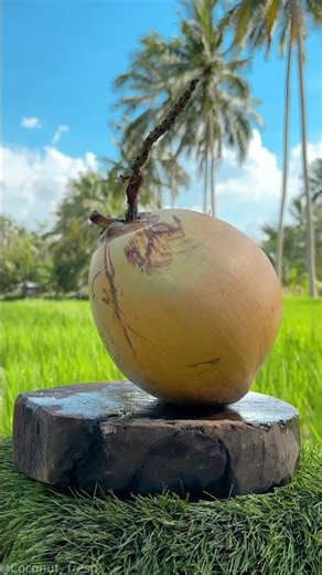 Masterful Slicing Needs an Ultra-Sharp Knife