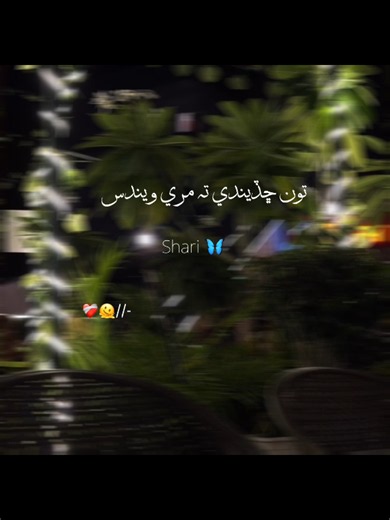 tnhnjo aa to ta sirro dends.....,💔🫠🌺❣️💫⚡ . . . #fyp #viral #sindhistatus #aestheticvideos #unfreezemyaccount