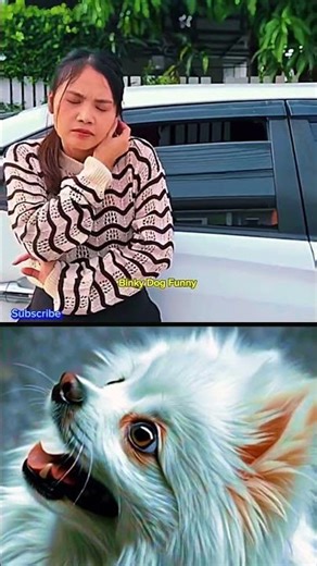 Don't play with me🤣 I want relax 😂 OMG #funny #funnyedit