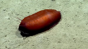 269K views · 8.4K reactions | With the holiday season upon us, you...