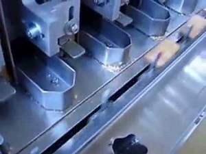 Dispensor, Delfin flow wrapper and lazy suzy for packaging biscuits on a line