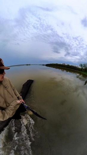587K views · 7.2K reactions | Silver Carp crossing the road, going up river #forcefeedem #bowfishing #fishing | Force Feed'em | Facebook
