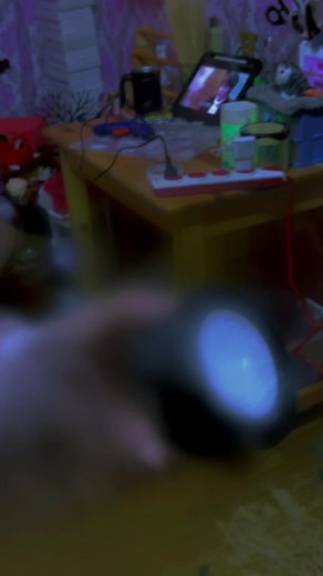 Koru Designs on TikTok