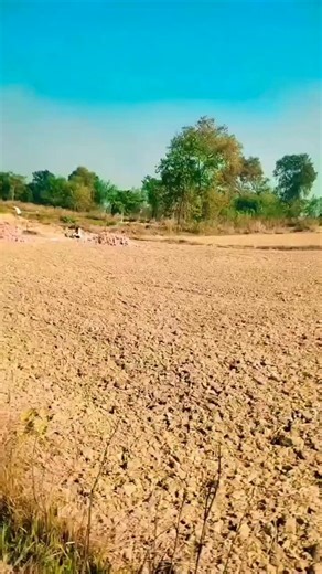 Singer Suryaprakash Gupta on Instagram: "Bhatar Aaihe Holi Ke Baad || #khesari_official_fanclub #holisongbhojpuri❤️❤️❤️❤️❤️😎😎😎😎😎😎"