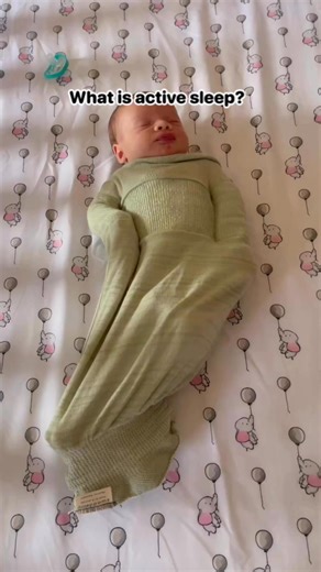 376K views · 1.3K reactions | Active sleep is one of the two sleep...