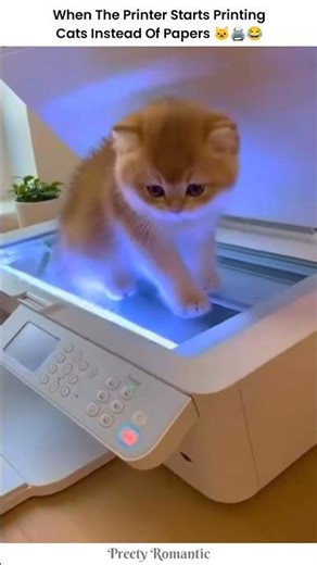 This Is the Cutest Printer Error Ever🥹🐱 #shorts