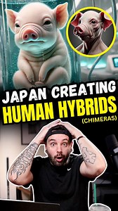 253K views · 4.7K reactions | Japan's Controversial Creation of Human-Animal Hybrids! #reel #reels #reaction #science #christianity #faith #jesuslovesyou | Jesse Speaks | Facebook